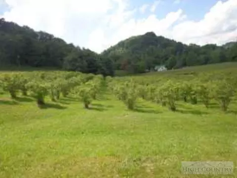 314 Sutherland Rd, Creston, NC 28615 photo 18