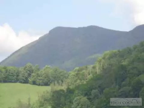 314 Sutherland Rd, Creston, NC 28615 photo 16