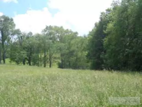 314 Sutherland Rd, Creston, NC 28615 photo 21
