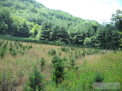 225 Joe Hampton Rd, Lansing, NC 28643 photo 16