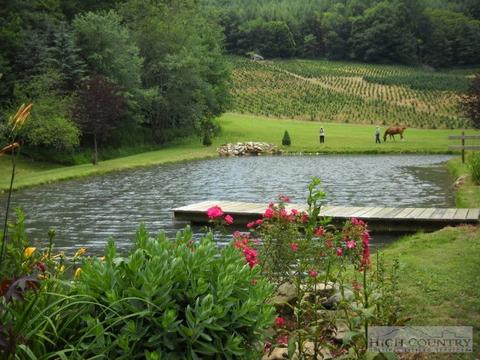 225 Joe Hampton Rd, Lansing, NC 28643 photo 6