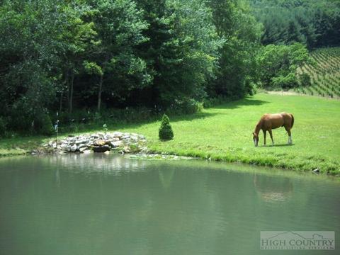 225 Joe Hampton Rd, Lansing, NC 28643 photo 11
