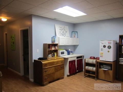 299 Doe Dr, Boone, NC 28607 photo 12