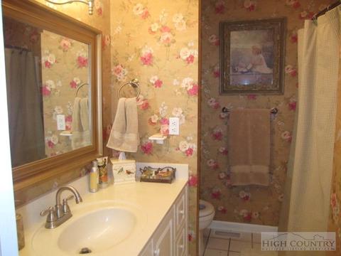 299 Doe Dr, Boone, NC 28607 photo 3
