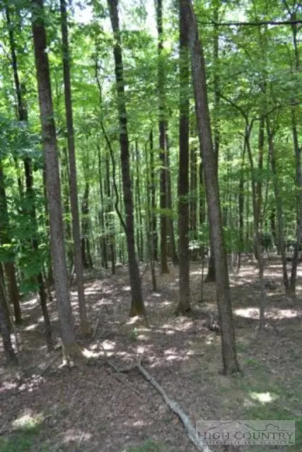 109 Ellies Trl, Deep Gap, NC 28618 photo 19