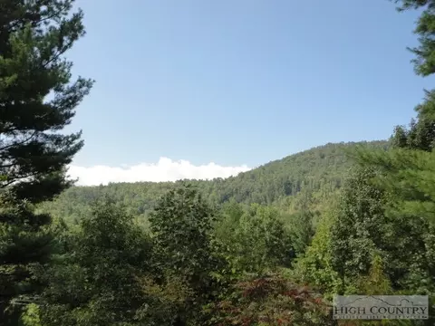 3449 Wildcat Rd, Deep Gap, NC 28618 photo 2