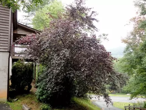 3449 Wildcat Rd, Deep Gap, NC 28618 photo 12