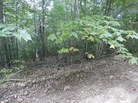 201 Red Fox Ln, Beech Mountain, NC 28604 photo 1