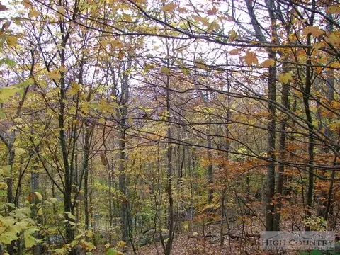 116 Hummingbird Ln, Beech Mountain, NC 28604 photo 2