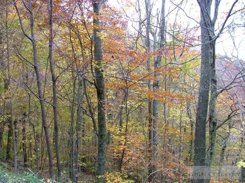 116 Hummingbird Ln, Beech Mountain, NC 28604 photo 5