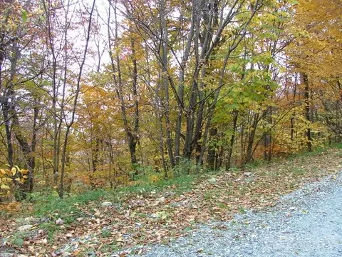 116 Hummingbird Ln, Beech Mountain, NC 28604 photo 6