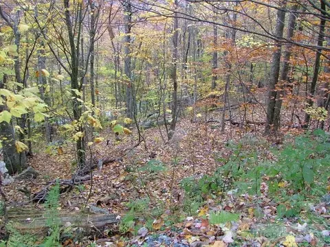 116 Hummingbird Ln, Beech Mountain, NC 28604 photo 7
