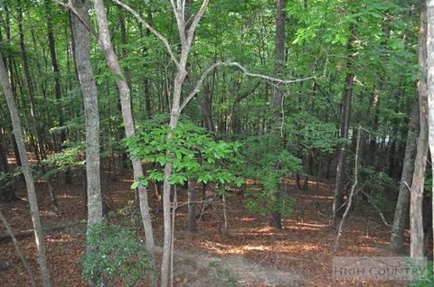 142 Sunny Ln, Deep Gap, NC 28618 photo 28