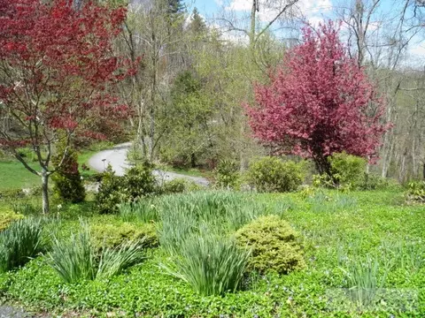 642 Eagle Dr, Boone, NC 28607 photo 2