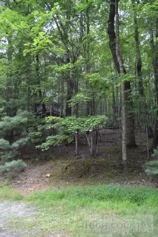 208 Saddle Ln, Deep Gap, NC 28618 photo 16