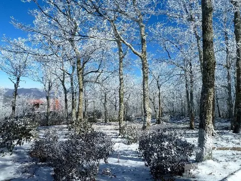 110 Eagle Roost Rd, Boone, NC 28607 photo 5