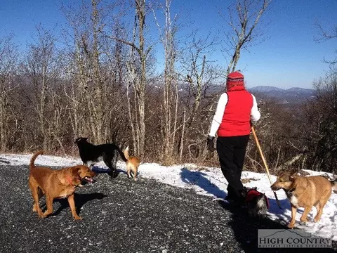 110 Eagle Roost Rd, Boone, NC 28607 photo 11