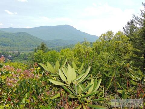 874 Hickory, Boone, NC 28607 photo 1
