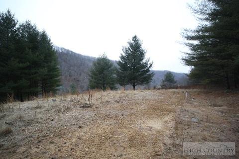 774 River Rd, Todd, NC 28684 photo 1