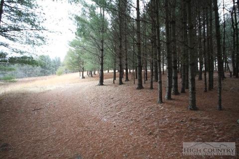 774 River Rd, Todd, NC 28684 photo 2