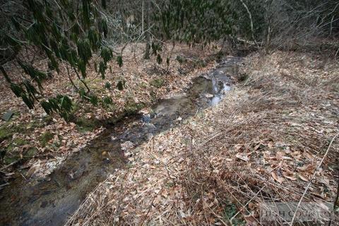 774 River Rd, Todd, NC 28684 photo 12