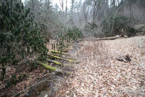 774 River Rd, Todd, NC 28684 photo 11
