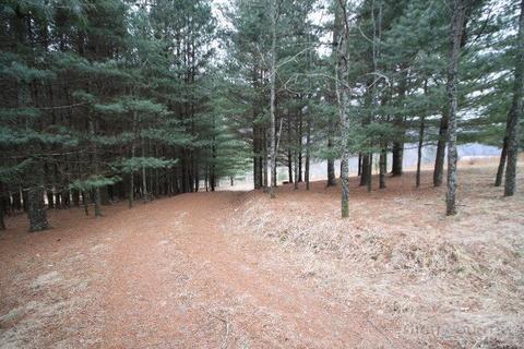 774 River Rd, Todd, NC 28684 photo 4