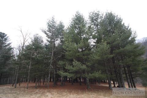 774 River Rd, Todd, NC 28684 photo 3