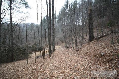 774 River Rd, Todd, NC 28684 photo 9