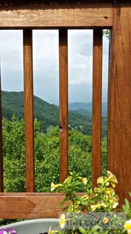749 Skiview Rd, Seven Devils, NC 28604 photo 31