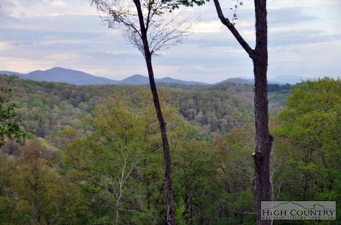 608 Bear Cubs Trl, Boone, NC 28607 photo 23