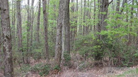 159 Rhododendron Dr, Beech Mountain, NC 28604 photo 4
