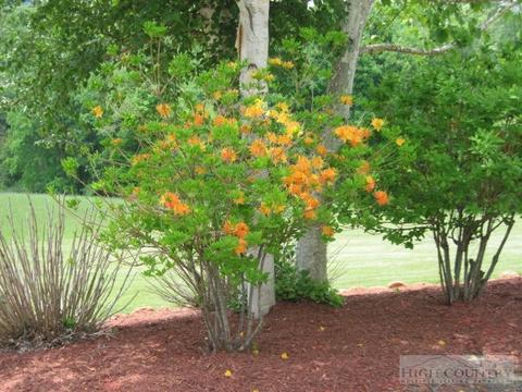 714 Bear Run Rd, Lansing, NC 28643 photo 4