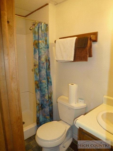 255 Bear Trl, Boone, NC 28607 photo 20