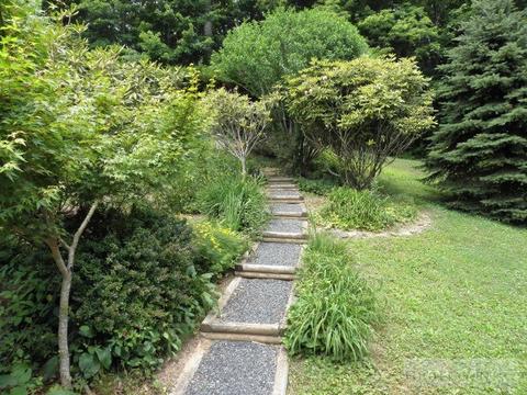 856 Crestview Dr, Creston, NC 28615 photo 25