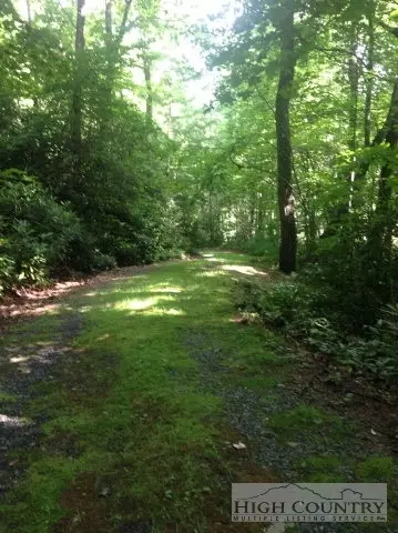 741 Wildcat Ridge Rd, Boone, NC 28607 photo 3