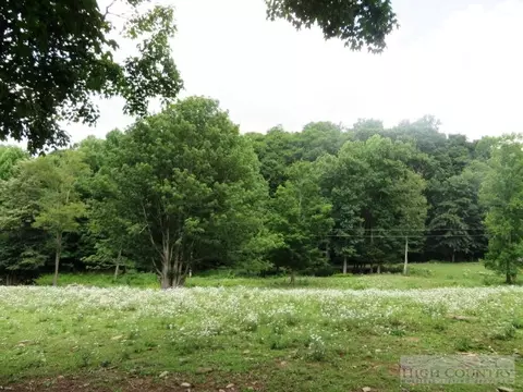 243 Cherry Tree Ln, Creston, NC 28615 photo 6