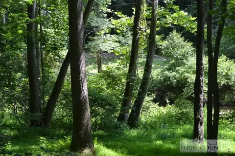 9584 Elk Creek Rd, Deep Gap, NC 28618 photo 26