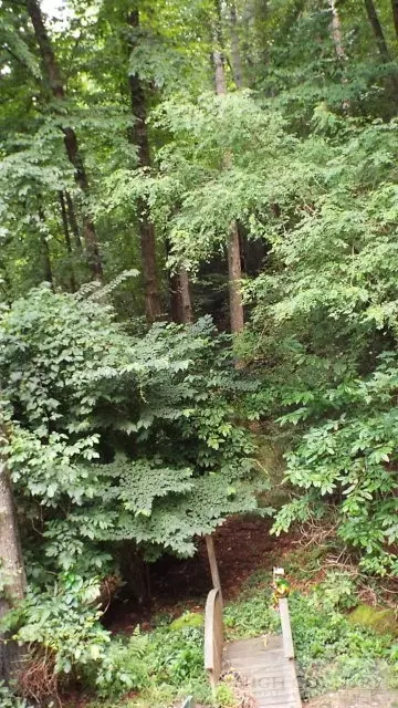 9584 Elk Creek Rd, Deep Gap, NC 28618 photo 23
