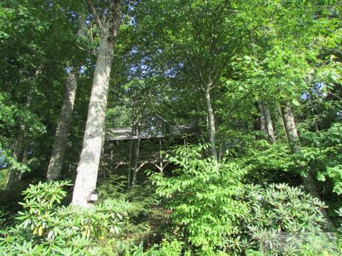 310 Alumni Dr, Boone, NC 28607 photo 36