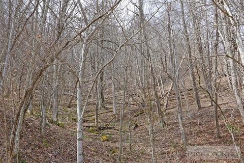 490 Willow Mountain Dr, Vilas, NC 28692 photo 26