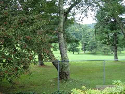 237 Juniper Dr, Boone, NC 28607 photo 5
