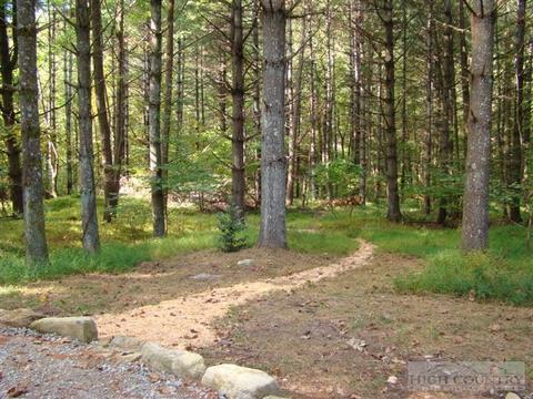 562 Jakes Mountain Rd, Deep Gap, NC 28618 photo 11