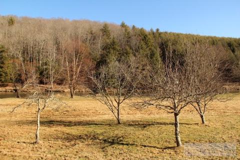 807 Moonshadow Ln, Crumpler, NC 28617 photo 15