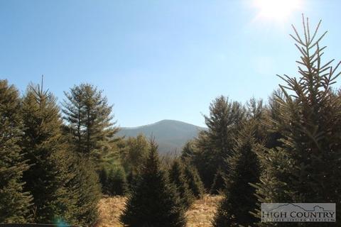 807 Moonshadow Ln, Crumpler, NC 28617 photo 23