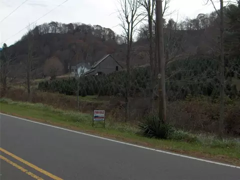 2931 Big Laurel Rd, Creston, NC 28615 photo 4