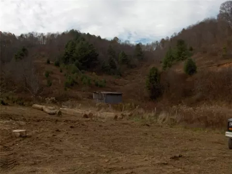 2931 Big Laurel Rd, Creston, NC 28615 photo 9