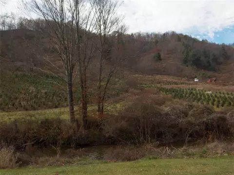 2931 Big Laurel Rd, Creston, NC 28615 photo 7