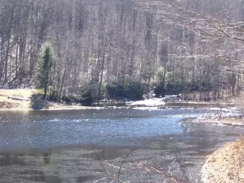 155 Doc Harris Rd, Creston, NC 28615 photo 18