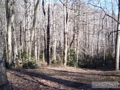 155 Doc Harris Rd, Creston, NC 28615 photo 6